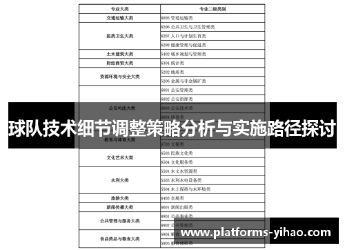 球队技术细节调整策略分析与实施路径探讨