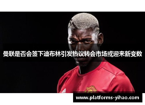 曼联是否会签下迪布林引发热议转会市场或迎来新变数