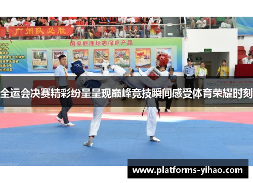 全运会决赛精彩纷呈呈现巅峰竞技瞬间感受体育荣耀时刻