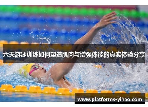 六天游泳训练如何塑造肌肉与增强体能的真实体验分享