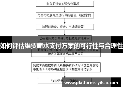 如何评估维贾薪水支付方案的可行性与合理性