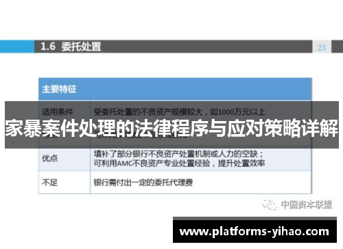 家暴案件处理的法律程序与应对策略详解