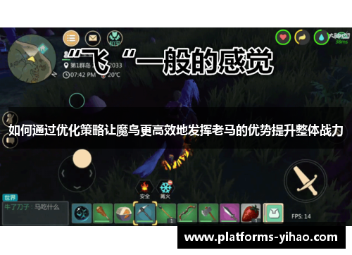 如何通过优化策略让魔鸟更高效地发挥老马的优势提升整体战力