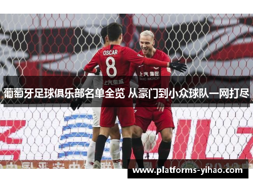 葡萄牙足球俱乐部名单全览 从豪门到小众球队一网打尽 葡萄牙足球俱乐部名单全览 从豪门到小众球队一网打尽