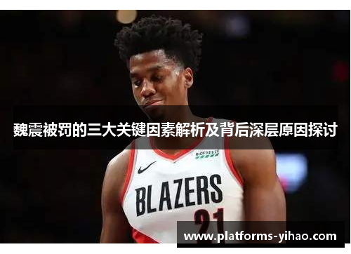 魏震被罚的三大关键因素解析及背后深层原因探讨