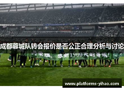 成都蓉城队转会报价是否公正合理分析与讨论